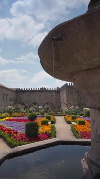 Colorful Floral Garden in Jardim de Santa Barbara