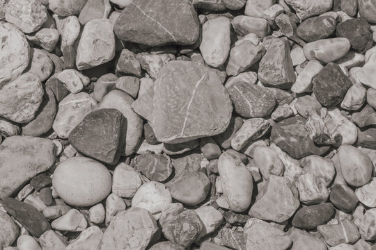 Monochrome full frame background texture of smooth rounded river pebbles and grey stones gathered on riverbed or beach for natural abstract design concept