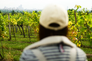Fototapeta premium Person wearing a cap looking at a vineyard and city skyline, illustrating seasonal change across alpine viticulture landscapes.