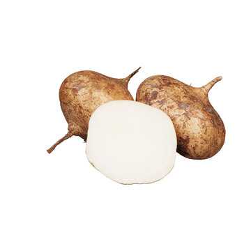 Sliced Jicama Root Isolated on Transparent Background