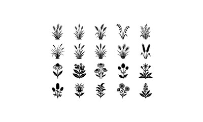 Fototapeta premium Wildflower Cattail Wild Grass Plant Silhouette Icons Set Vector Illustration