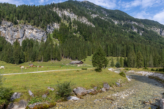&Ouml;sterreich - Alm