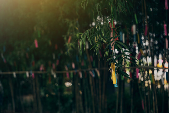 bamboo tree with colorful wishes