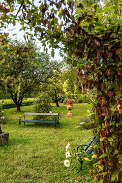 A green wooden bench in a beautiful park garden with trees and flowers on a sunny day