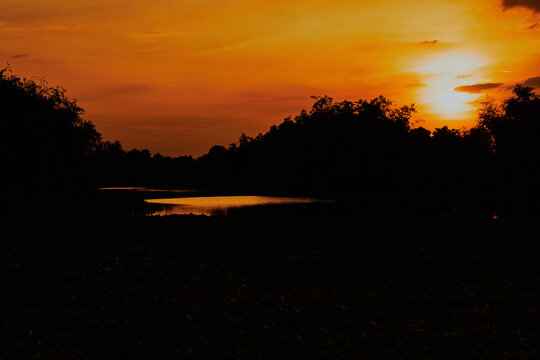 sunset river winding through quiet forest
