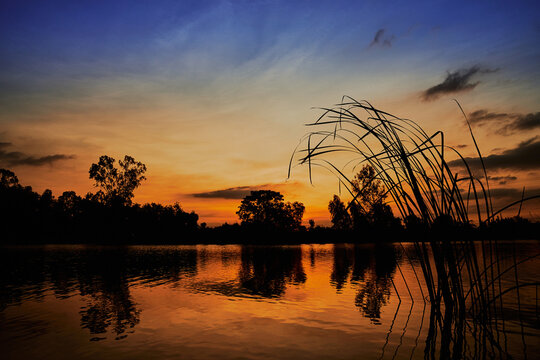 sunset lake with reeds and glowing sky