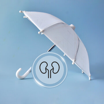 White umbrella protecting kidneys. Kidney health and medical insurance concept