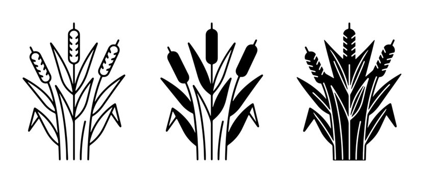 Cattail Plant Icons, Reed Vector Graphics, Bulrush Silhouette Set, Wetland Flora Illustrations