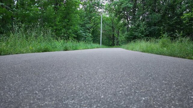 A skater approaches the camera while speeding forward on roller skates. The path is surrounded by trees and grass. The moment captures the energy of the skater in motion.