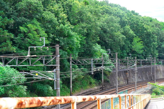 緑豊かな山林沿いを緩やかにカーブして伸びる線路と連続する架線柱の風景