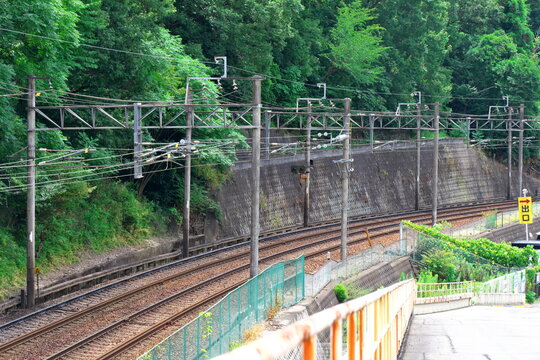 緑豊かな山林沿いを緩やかにカーブして伸びる線路と連続する架線柱の風景