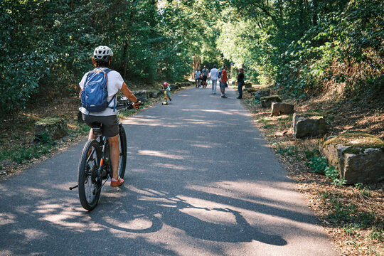 Active woman cycling on a sunny Sunday afternoon along a historic tree-lined avenue in Monrepos Park. Ludwigsburg, Baden-W&uuml;rttemberg, Germany.