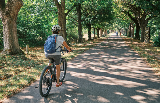 Active woman cycling on a sunny Sunday afternoon along a historic tree-lined avenue in Monrepos Park. Ludwigsburg, Baden-W&uuml;rttemberg, Germany.