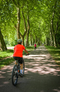 female Cyclist riding a bicycle along a peaceful forest avenue surrounded by lush green trees and dappled sunlight. Stuttgart, Baden-W&uuml;rttemberg, Germany.