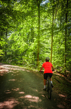 female Cyclist riding a bicycle along a peaceful forest avenue surrounded by lush green trees and dappled sunlight. Stuttgart, Baden-W&uuml;rttemberg, Germany.