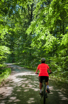 female Cyclist riding a bicycle along a peaceful forest avenue surrounded by lush green trees and dappled sunlight. Stuttgart, Baden-W&uuml;rttemberg, Germany.