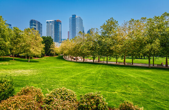 Park Grass And Trees