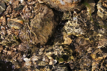Abstrack stones, pebbles and water texture. © Mrk