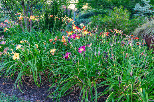 Trees And Flowers 2