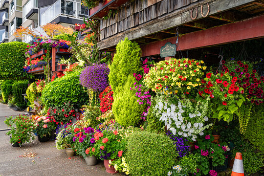 West Seattle Flower House 6