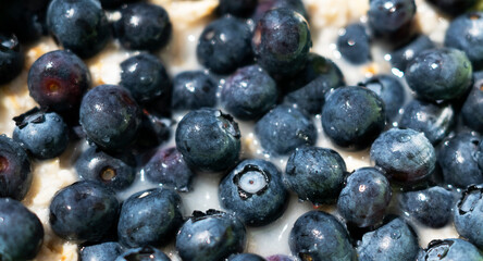 oatmeal porridge with fresh blueberries, healthy breakfast © Alona