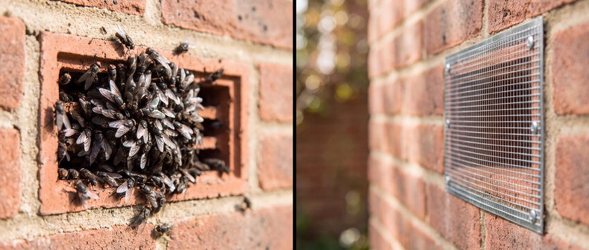 Pest control comparison showing flies swarming an air brick versus a vent protected by a mesh screen on a brick wall