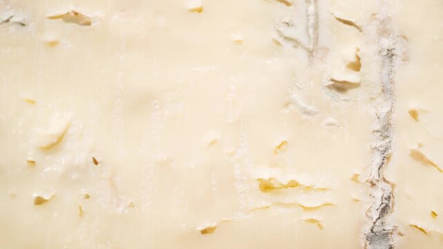 Gorgonzola cheese texture close-up with mold pattern