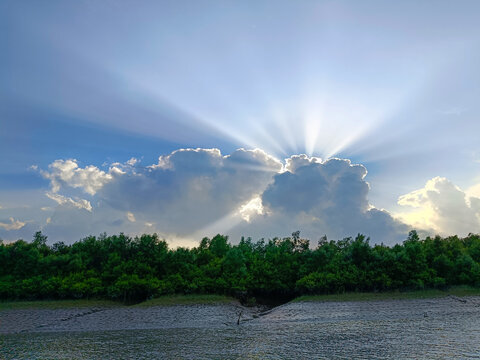 Sun rays breaking through clouds over a lush green mangrove forest along a riverbank