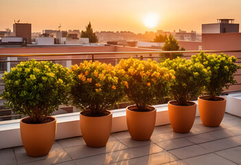 Fototapeta premium Rooftop terrace with potted plants and city skyline at golden hour sunset, urban gardening and outdoor living, Modern residential architecture and urban gardening