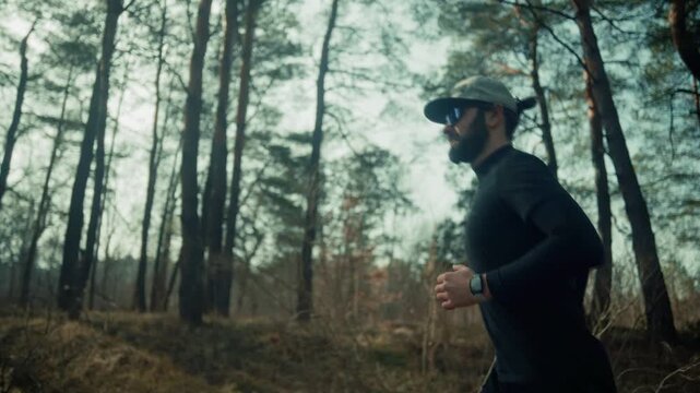 Runner Jogging Through Pine Forest. Outdoor Cardio Workout 