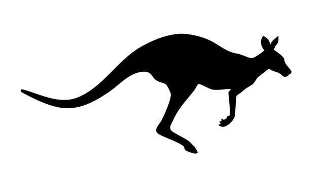 Australian Jumping Kangaroo Silhouette Black Vector Icon Isolated on White Background