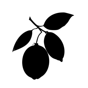 Fresh Lemon Fruit with Leaves Citrus Food Organic Black Vector Silhouette Icon Isolated on White Background