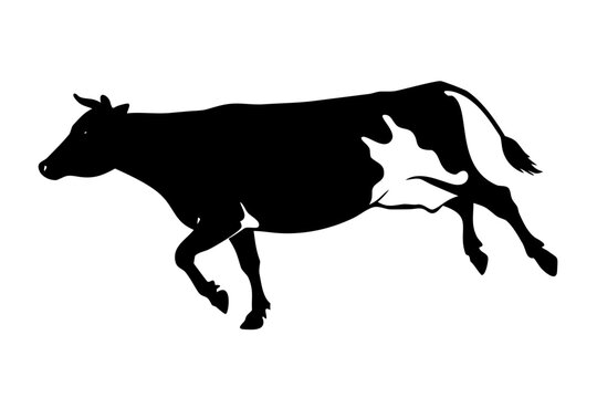 Happy Dairy Cow Jumping Farm Animal Cattle Black Vector Silhouette Icon Isolated on White Background