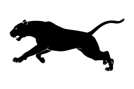 Pouncing Black Panther Leopard Jaguar Wild Cat Mascot Black Vector Silhouette Icon Isolated on White Background