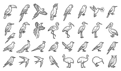 Obraz premium Tropical and exotic birds line art vector icons set isolated on white background
