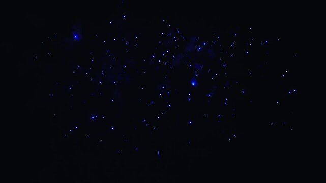 Blue festive fireworks exploding in the night sky
