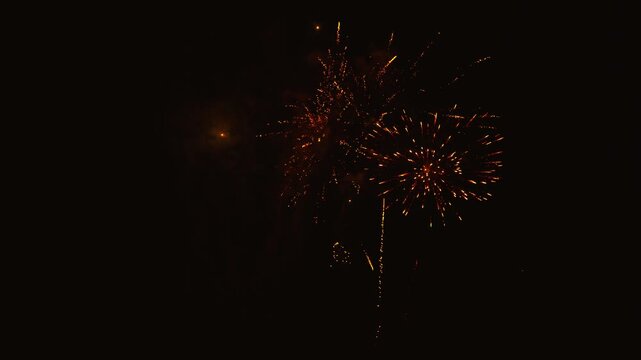 Spectacular red and gold fireworks exploding at night
