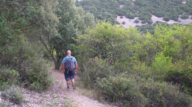Man walking in the woods at summer day.