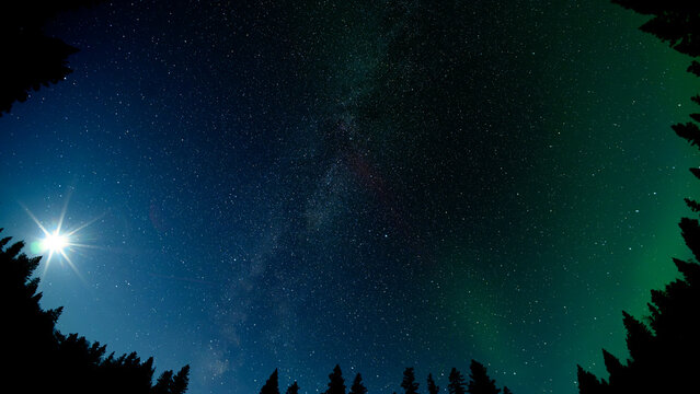 Looking up at a starry night sky with the Milky Way and the moon with fisheye view with silhouettes of evergreen trees
