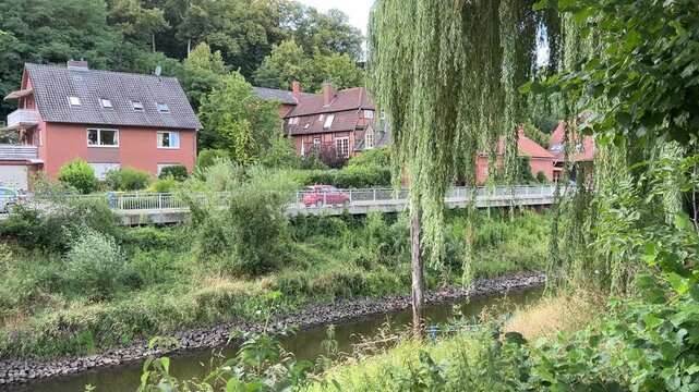 Riverside Houses Surrounded by Greenery and Large Weeping Willow Across a Small River