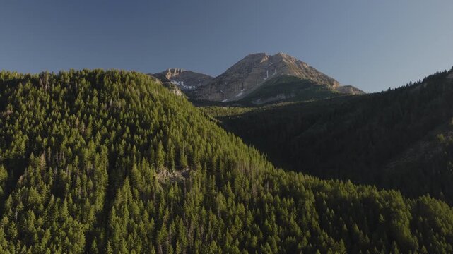 An aerial shot of a forest and  the north side of Mount Timpanogos in the afternoon in Summer, Utah, USA