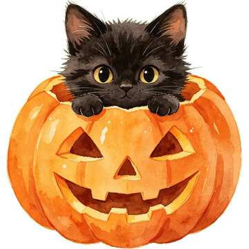 Cute Black Kitten in a Carved Jack-o'-lantern Pumpkin Halloween Vector Transparent Background for Autumn Celebration