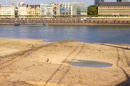 Low stream gauge of rhine river in D&uuml;sseldorf, Germany.Due to drought, climate change and global warming plants are conquering the former riverbed and ships can only operate with half of their cargo.