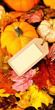 Autumn pumpkins and fall leaves with blank tag