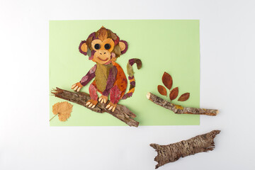 Herbarium art project kids school craft autumn leaf nature pressed monkey branch for education workshop, © Elena