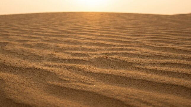 Wind-Rippled Desert Sand Dunes at Sunset &ndash; Golden Sand Texture Background