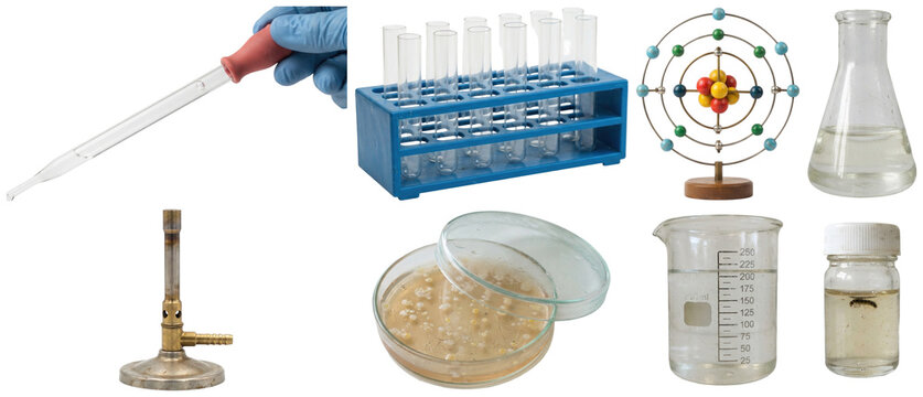 A collection of essential laboratory tools and glassware used for chemistry and biology experiments.