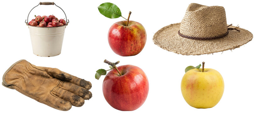 A collection of apple picking essentials and fresh orchard apples for autumn harvest.