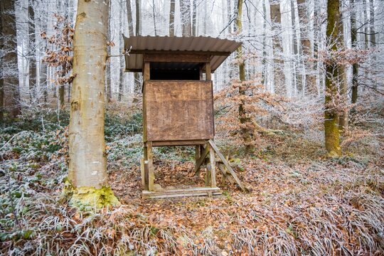 Wooden deer blind in a frosty winter forest scene