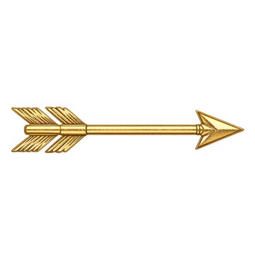 Golden arrow icon with feather details pointing right